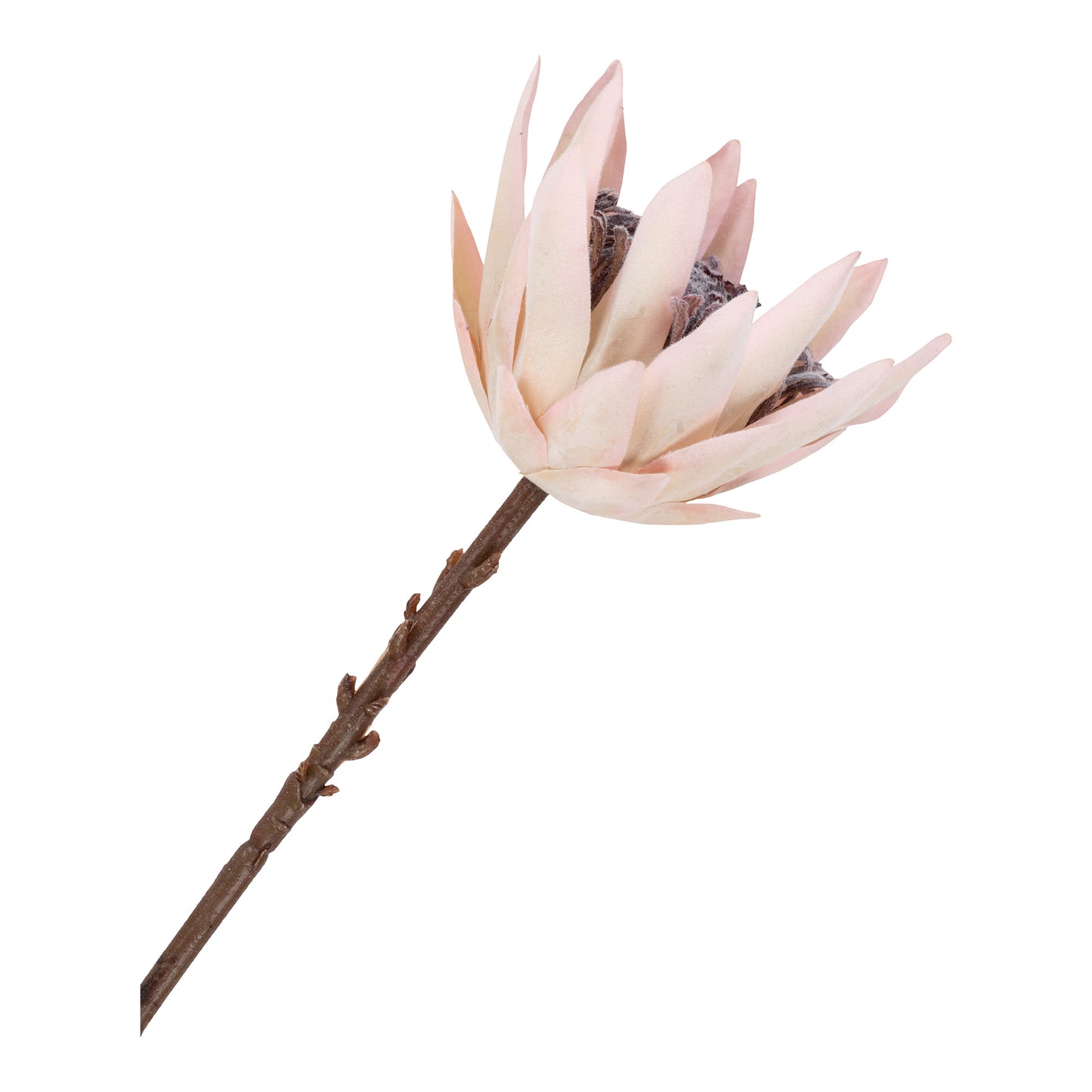 King Protea Bukett, Rosa & Burgundy